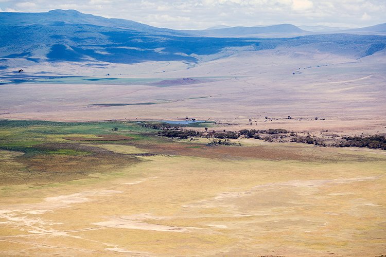 TZA ARU Ngorongoro 2016DEC23 019